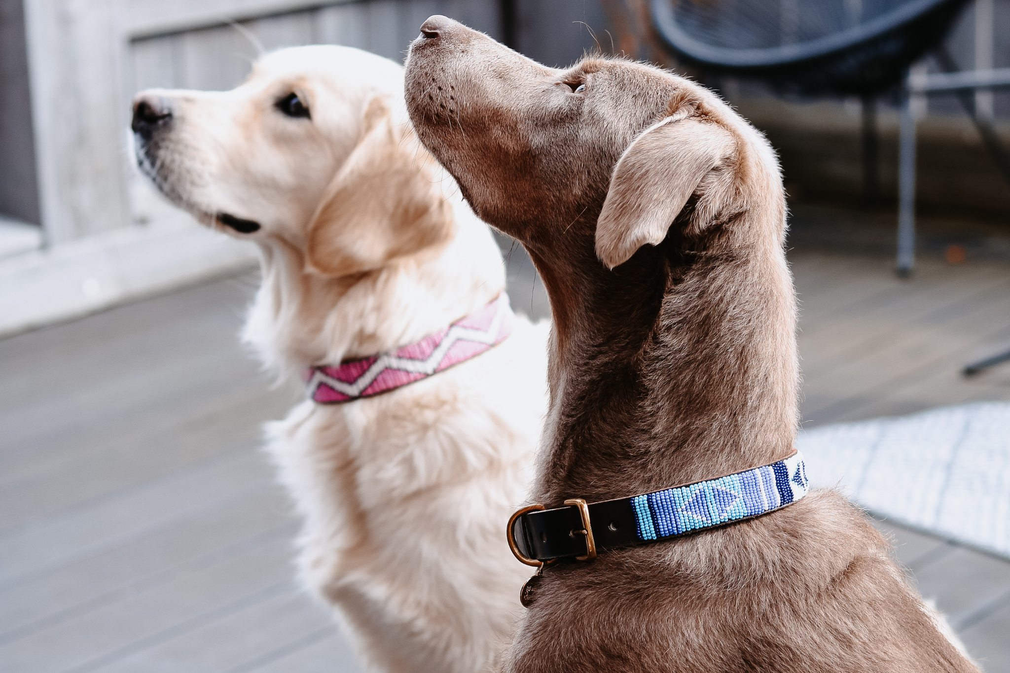 Beaded Collars