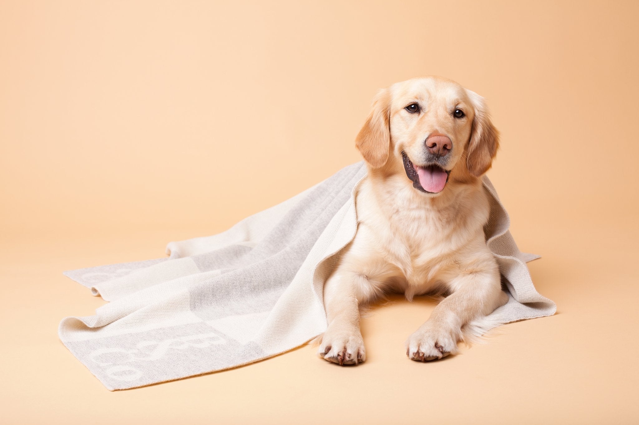 For Dogs