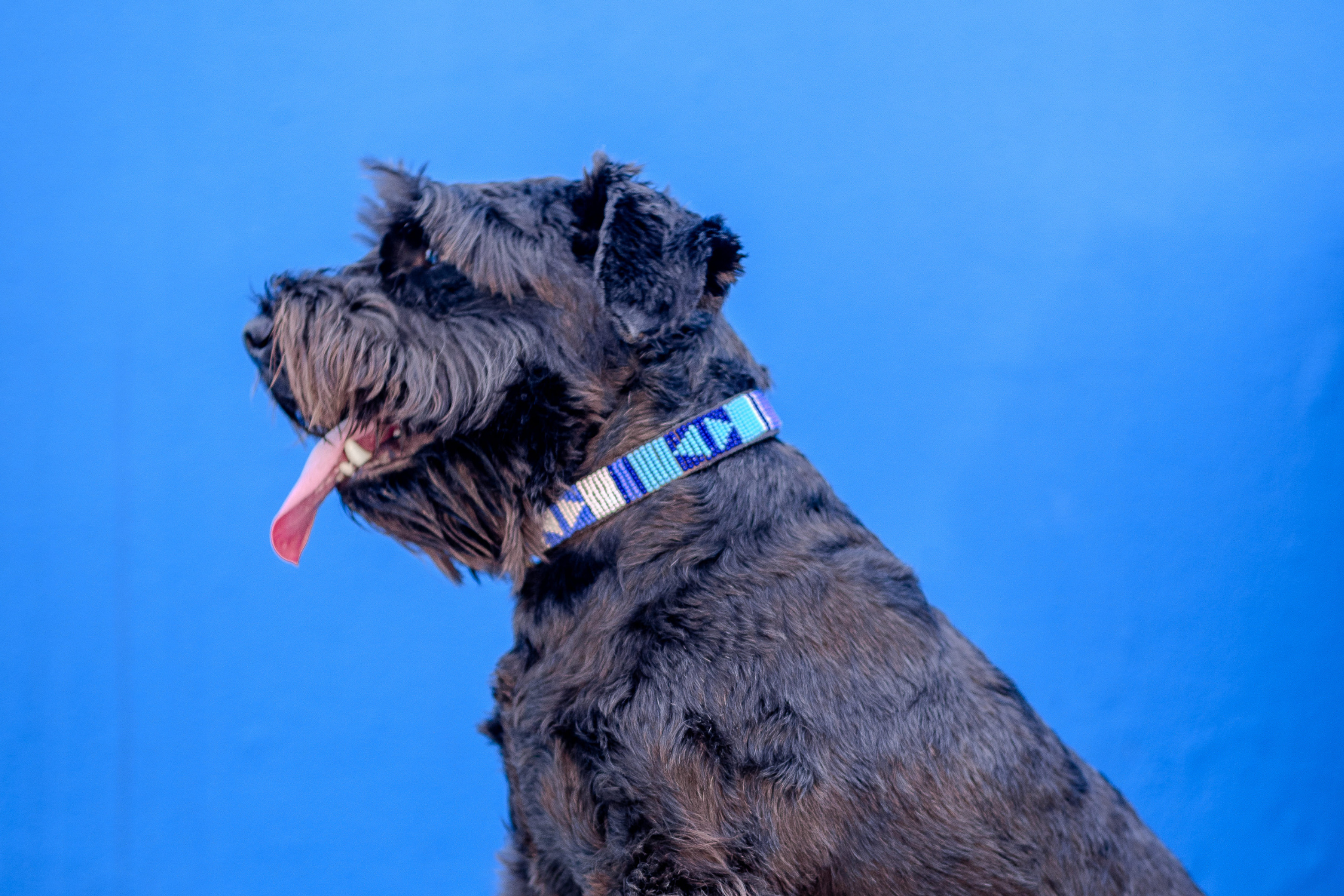 Beaded Collar | Blue Ocean