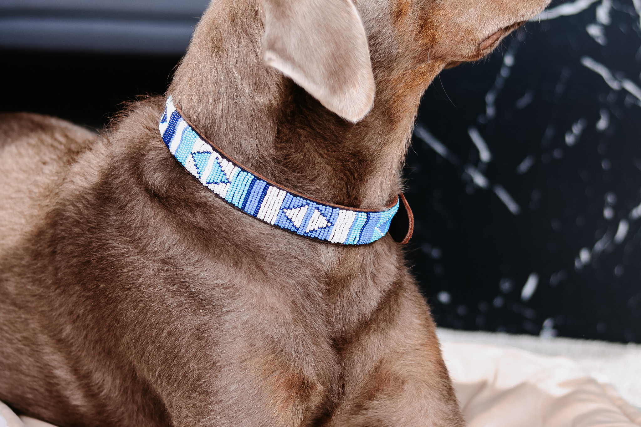 Perlenhalsband | Blue Ocean