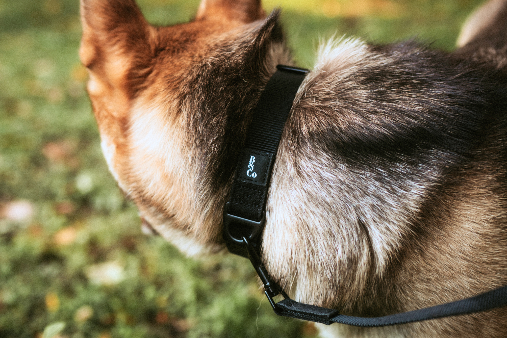 Streetstyle Leash in Black