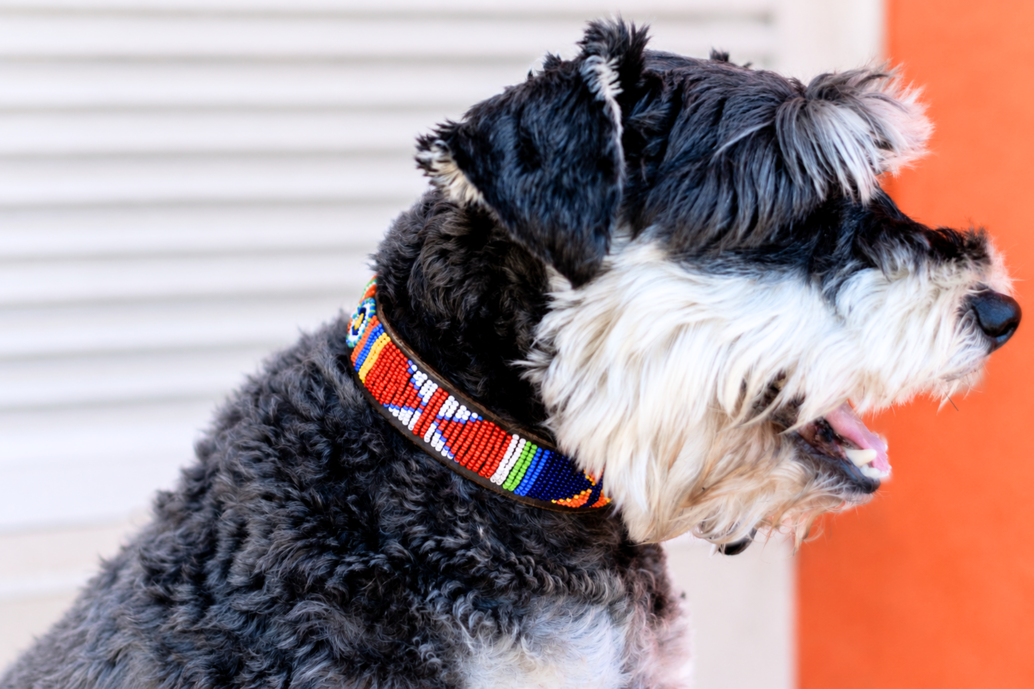 Beaded Collar | Mountains & Rivers