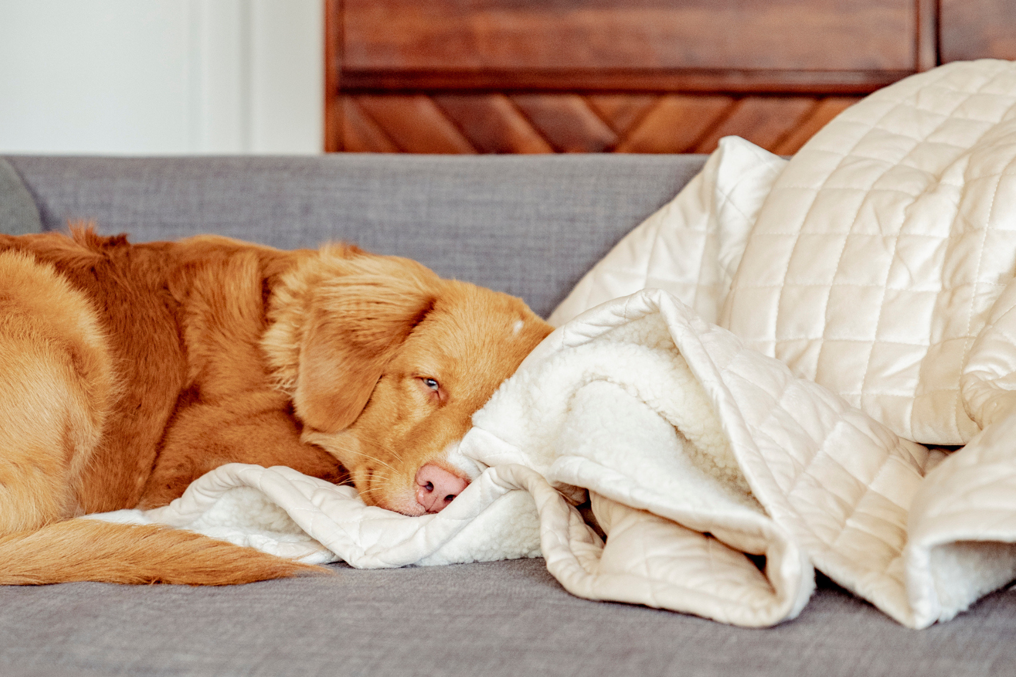 Quilted Velvet & Sherpa Mat in Light Caramel
