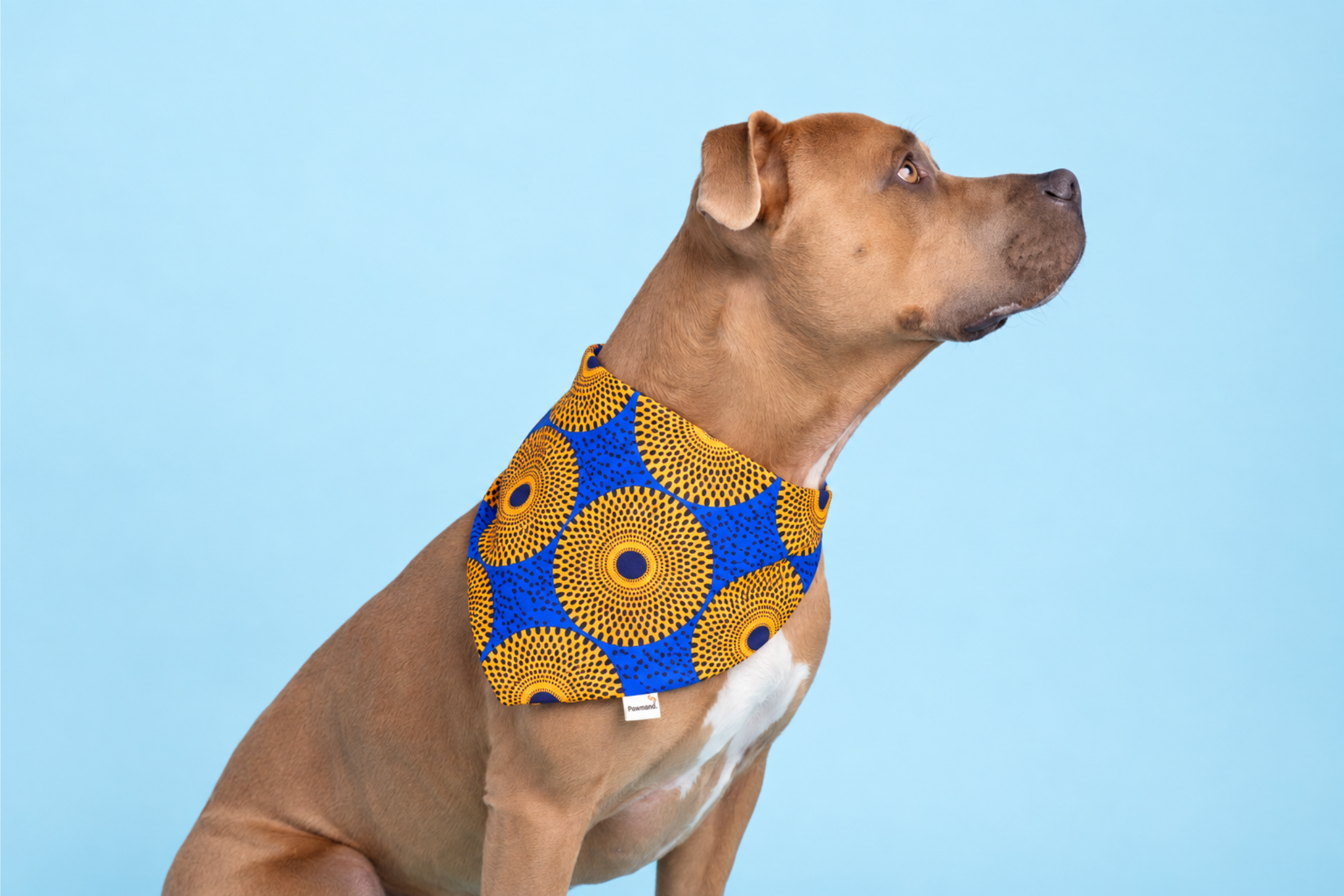 Bandana in Sonnenaufgang Shweshwe