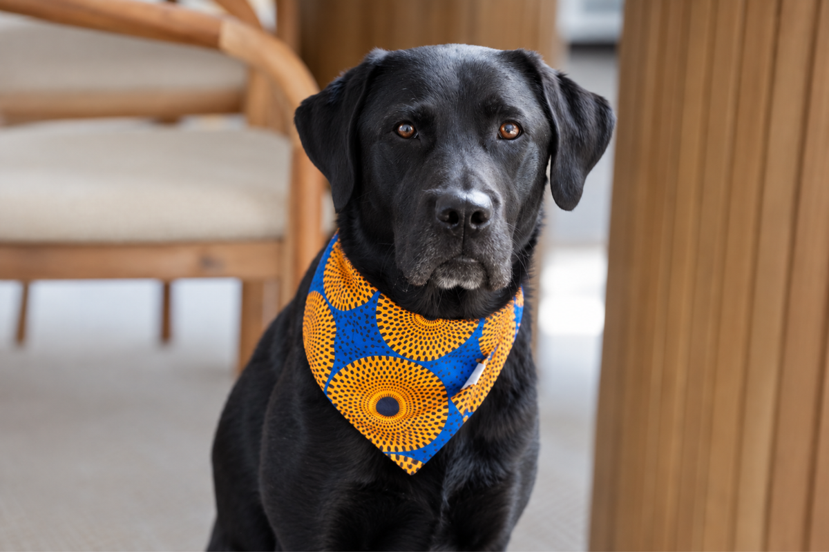 Bandana in Sonnenaufgang Shweshwe