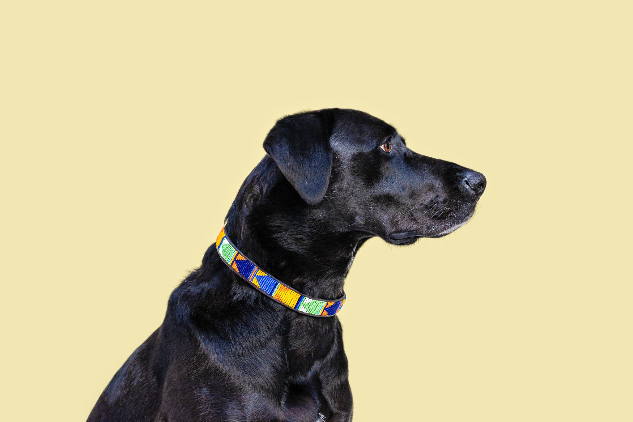 Beaded Collar | Sun & Sky