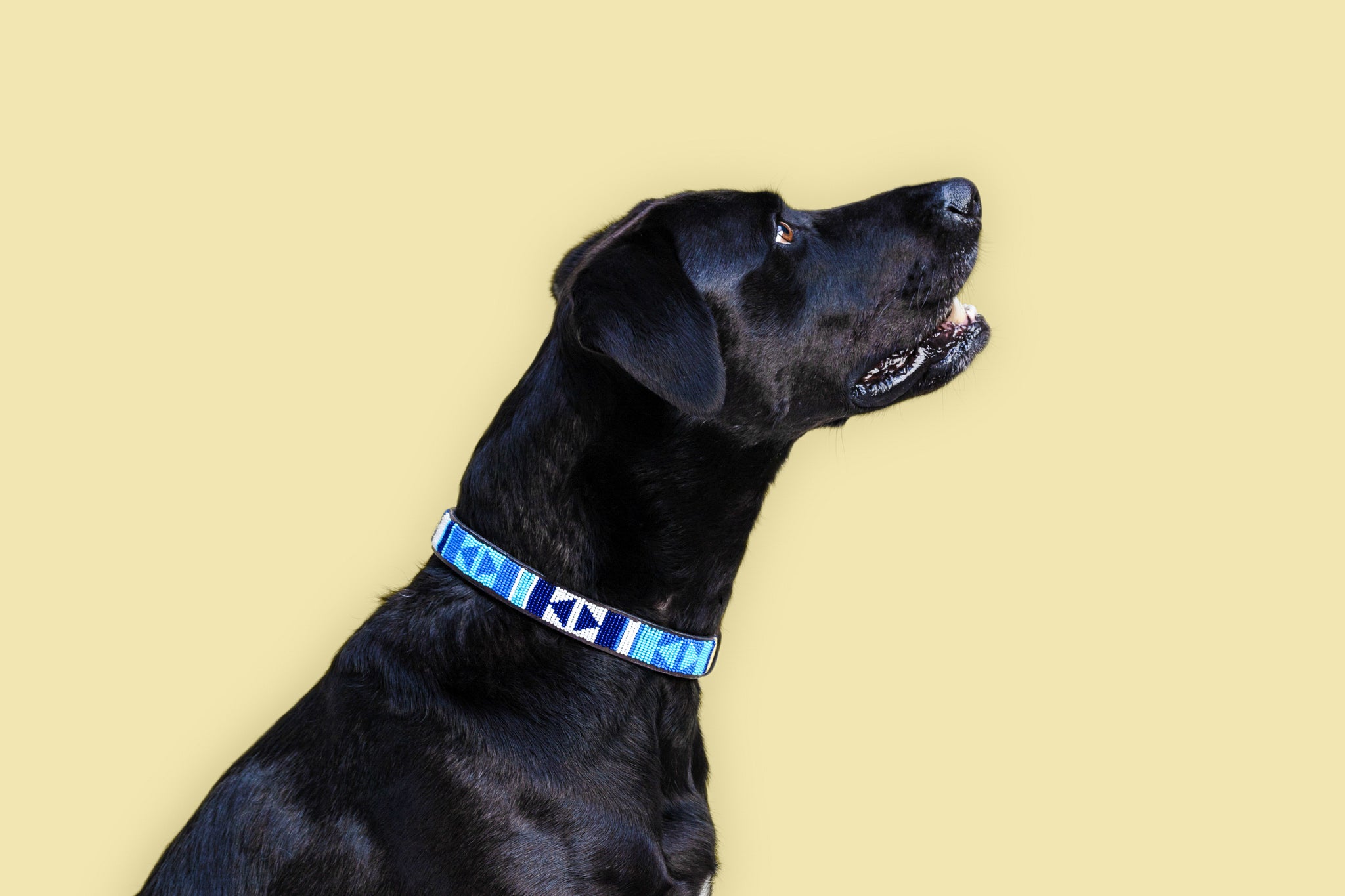 Beaded Collar | Blue Ocean