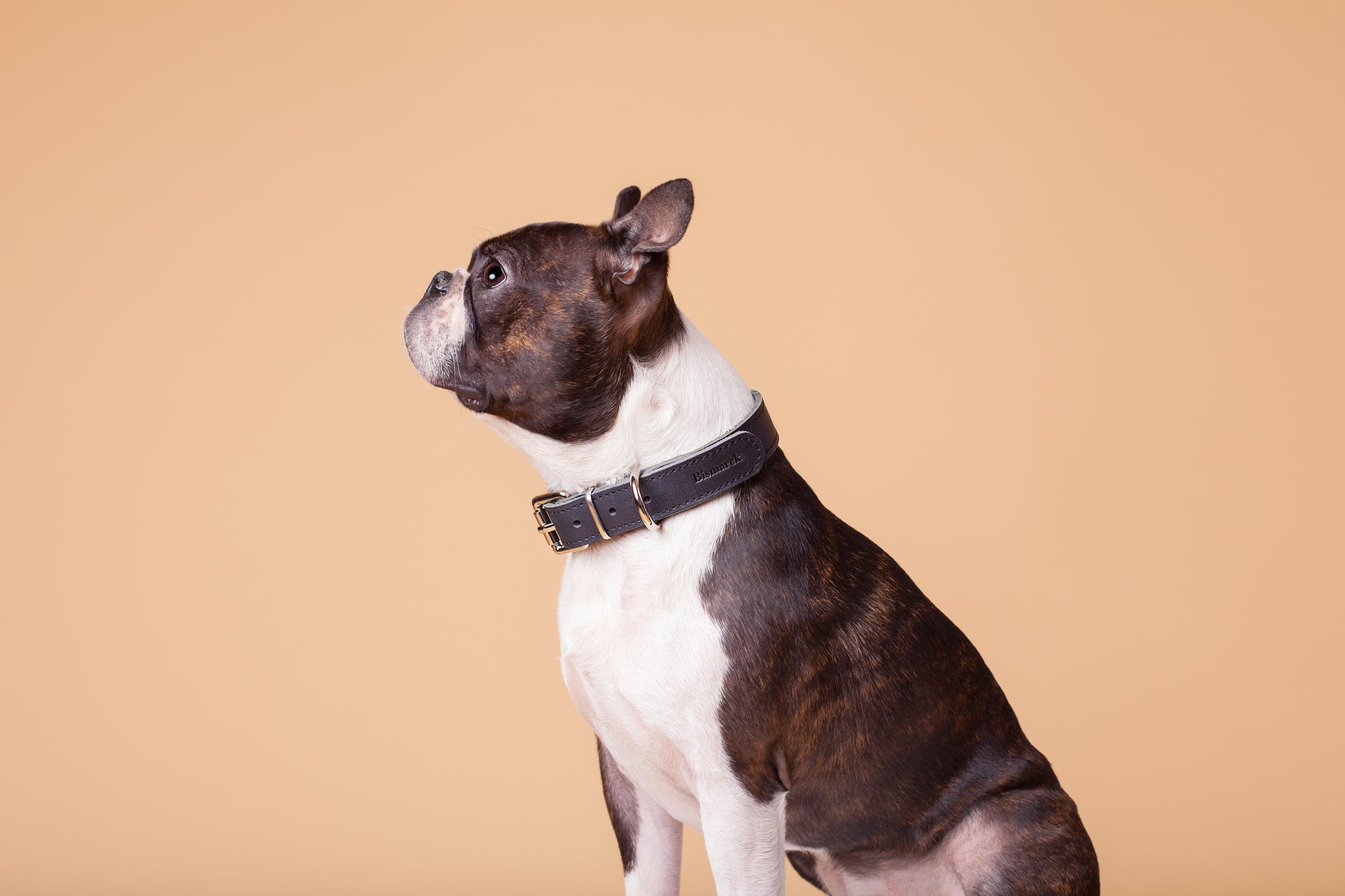 Smooth Collar in Black