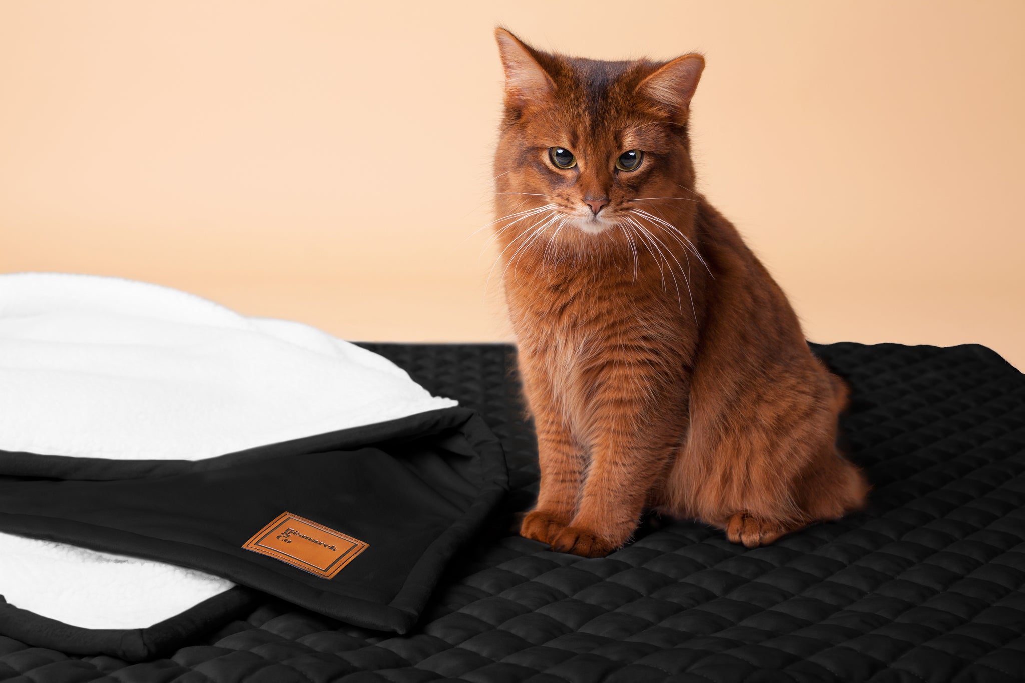 Quilted Velvet & Sherpa Mat in Black