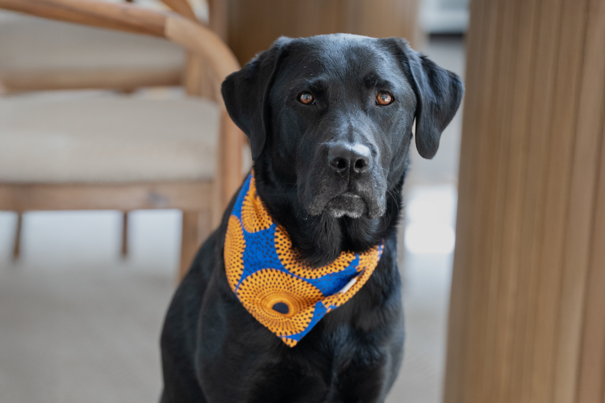 Bandana in Sunrise Shweshwe
