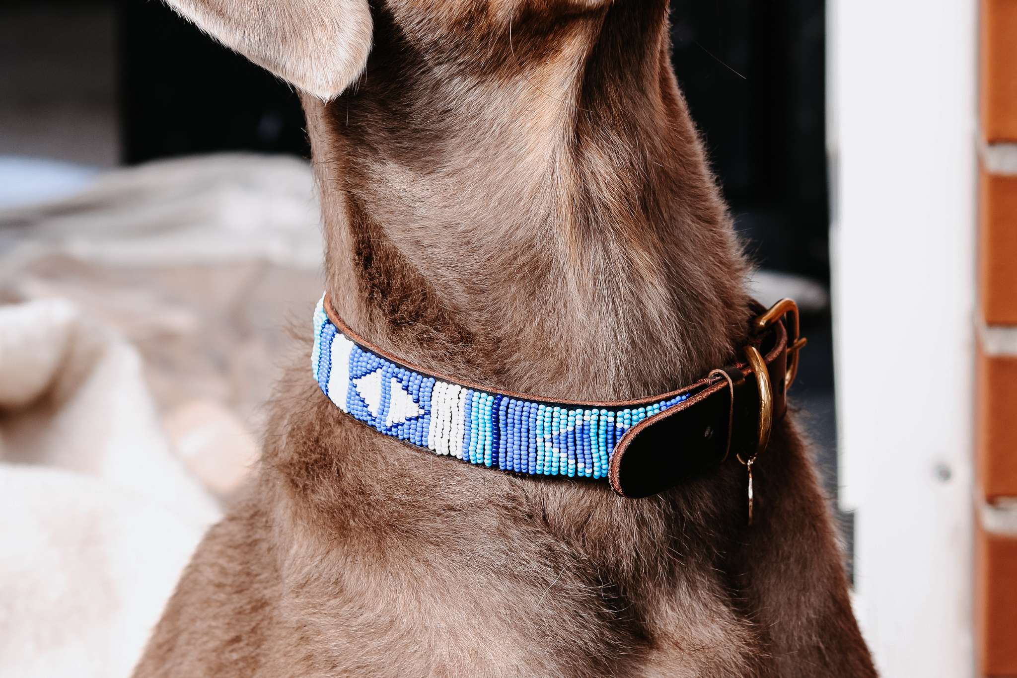 Perlenhalsband | Blue Ocean