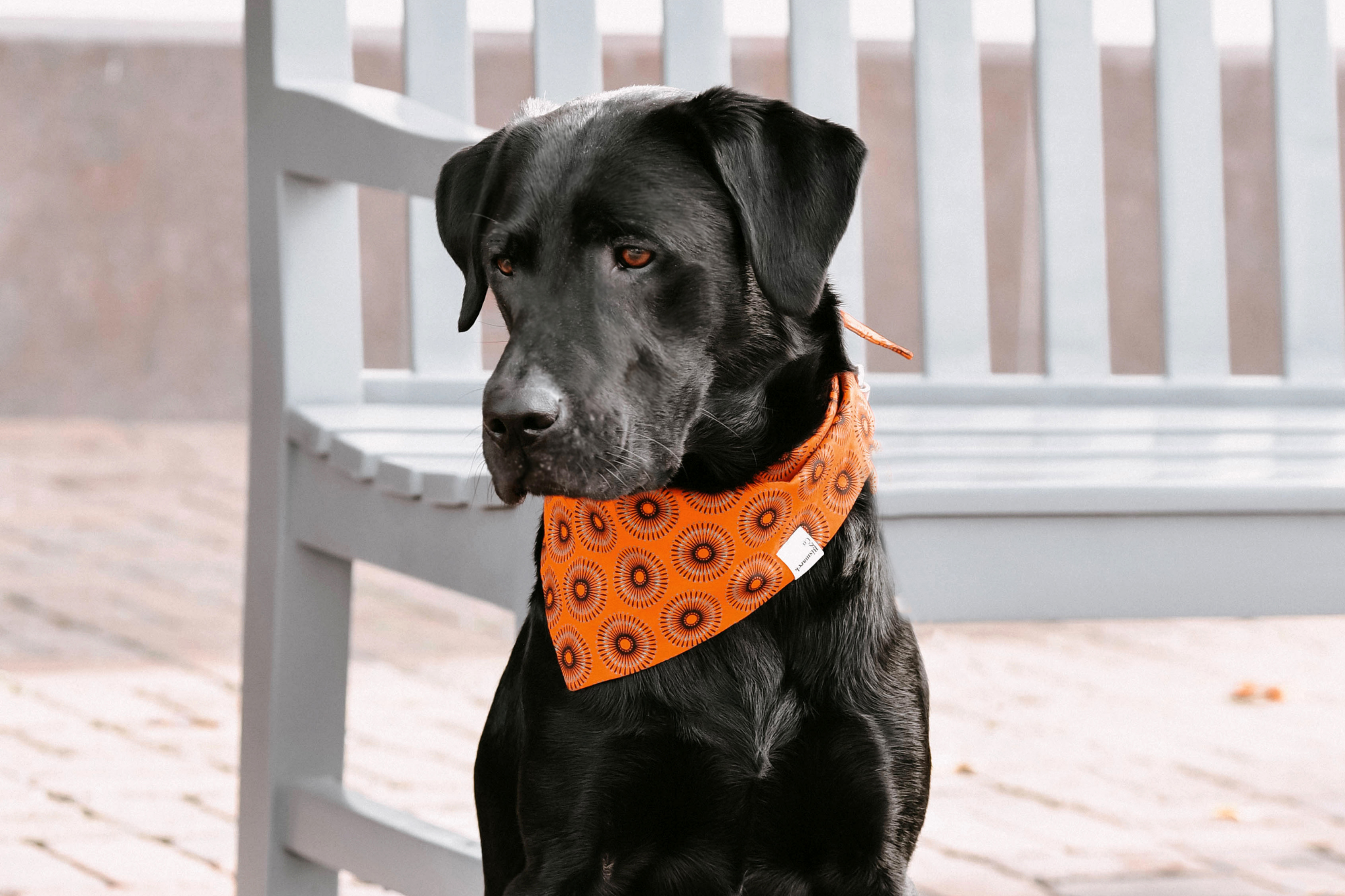 Bandana in Orange Shweshwe
