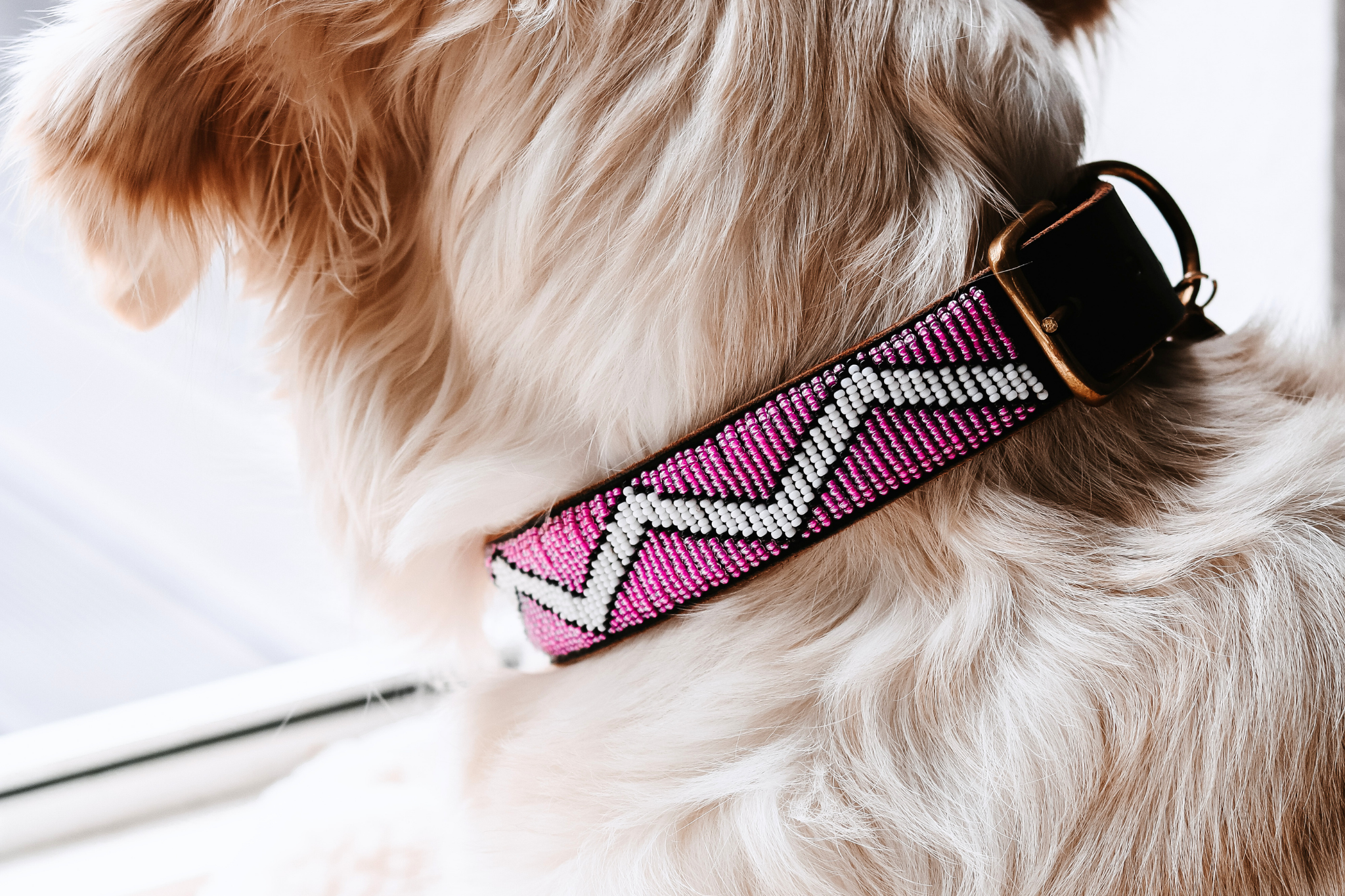 Beaded Collar | Motherland