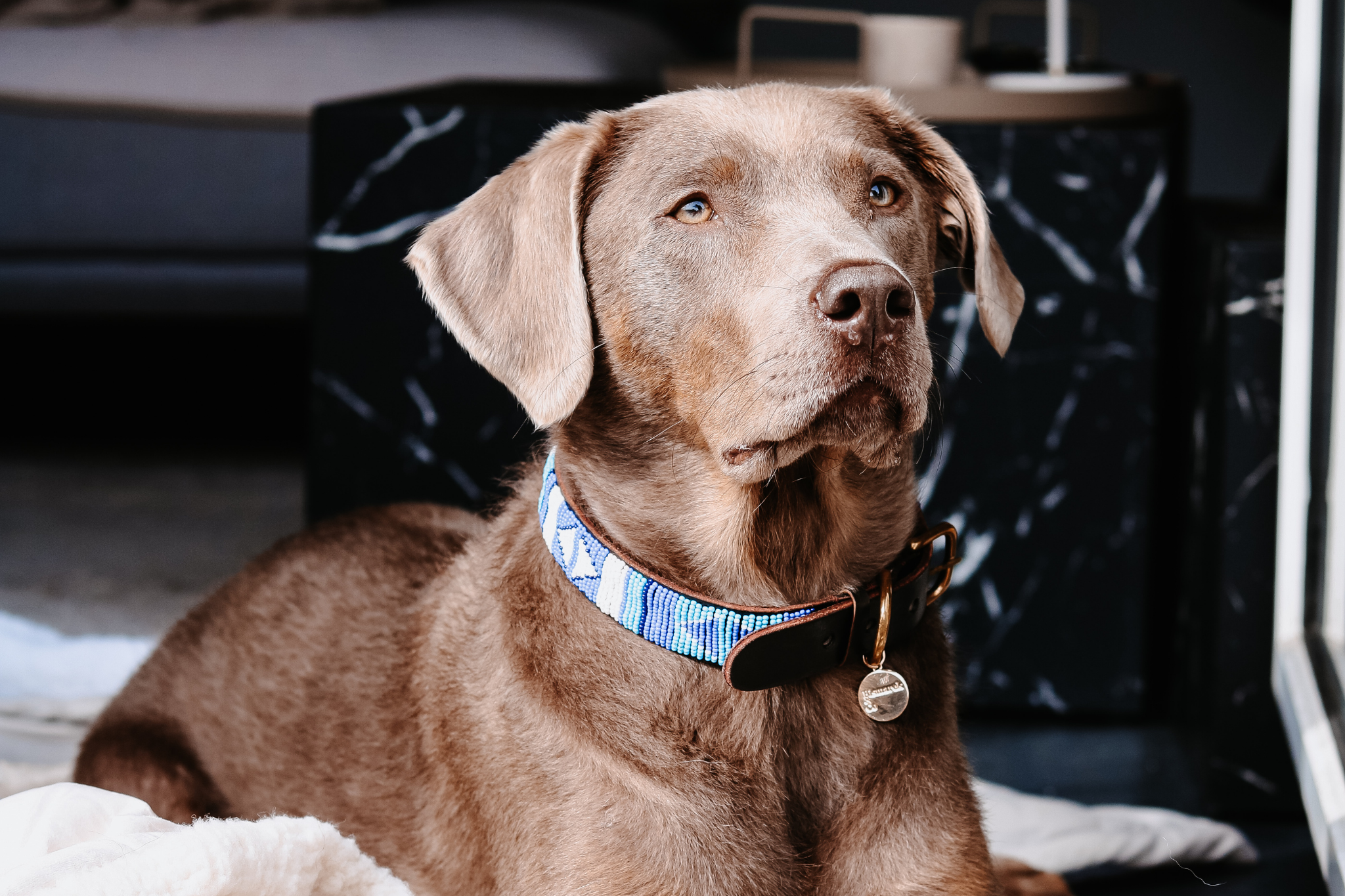 Beaded Collar | Blue Ocean