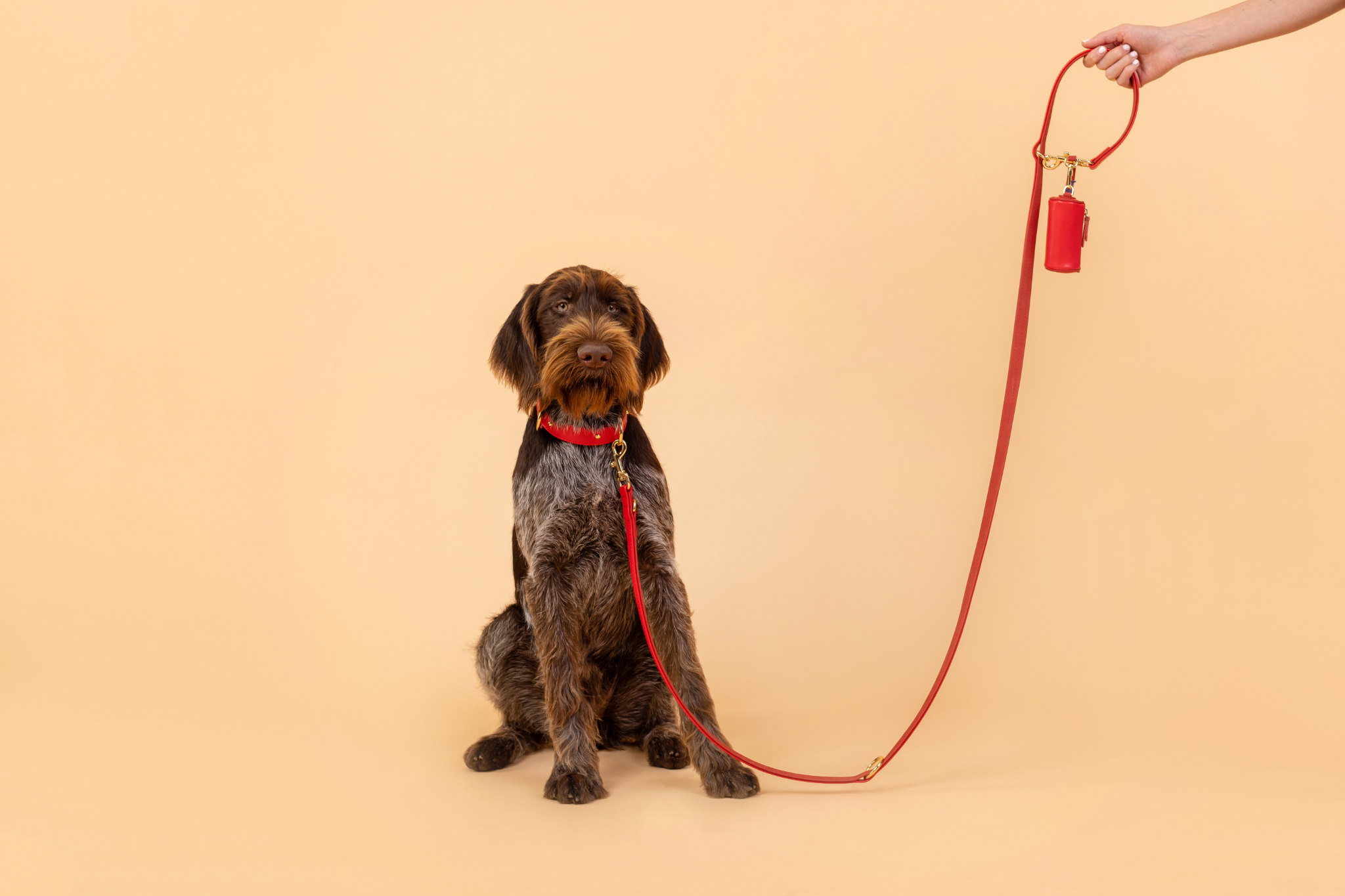 Apple Leather Walking Set in Festive Red