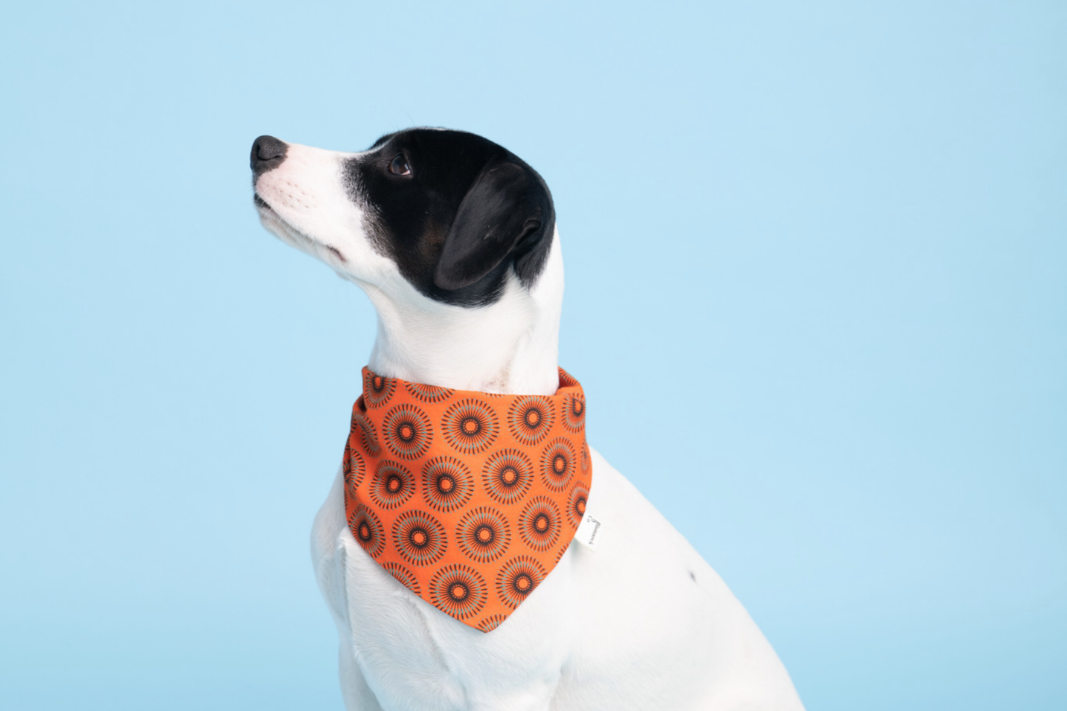 Bandana in Orangem Shweshwe
