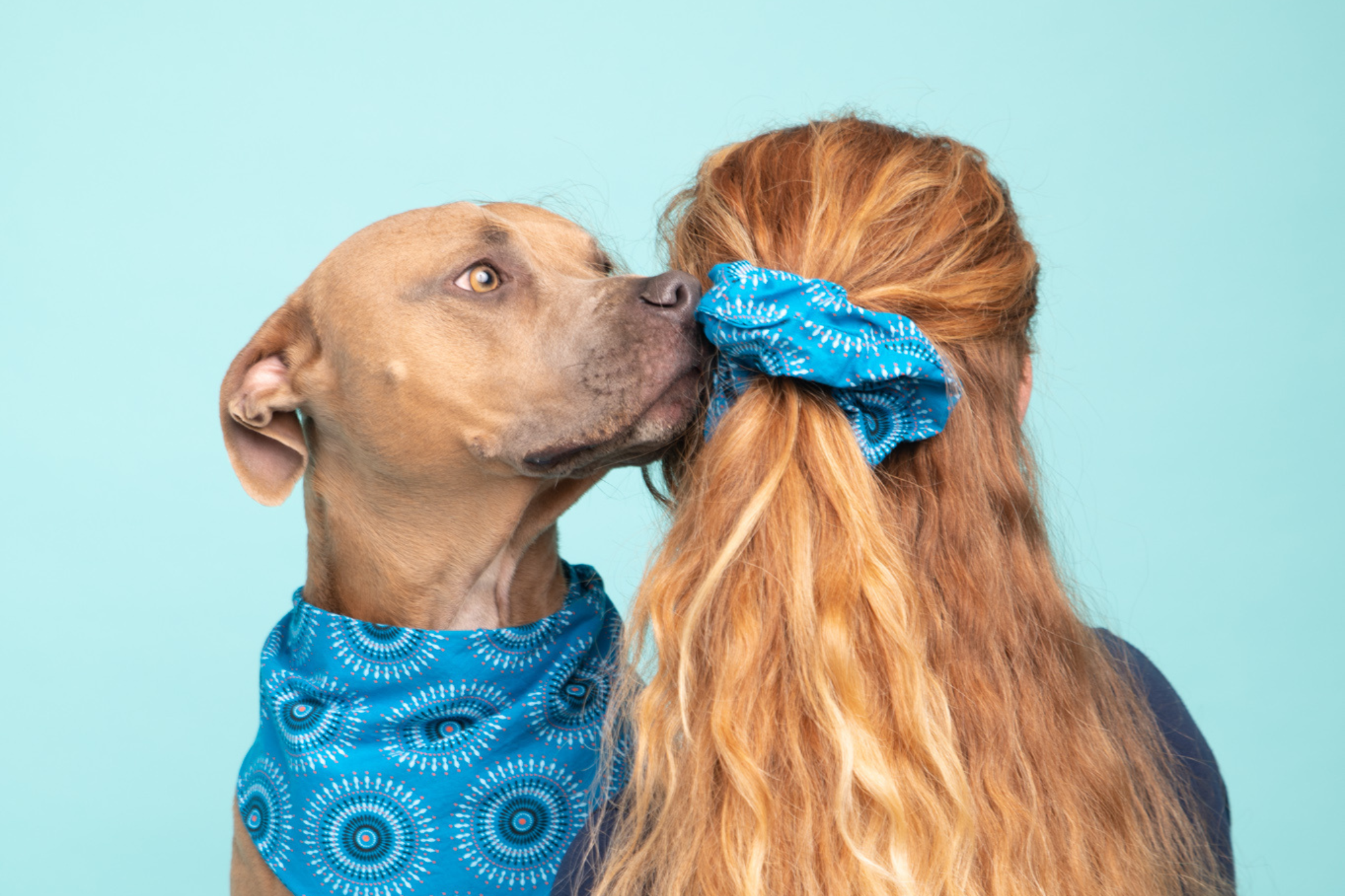 Bandana & Scrunchie Set in Blue