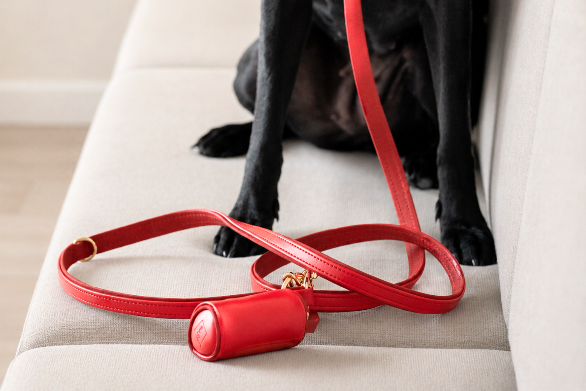 Apple Leather Leash in Festive Red