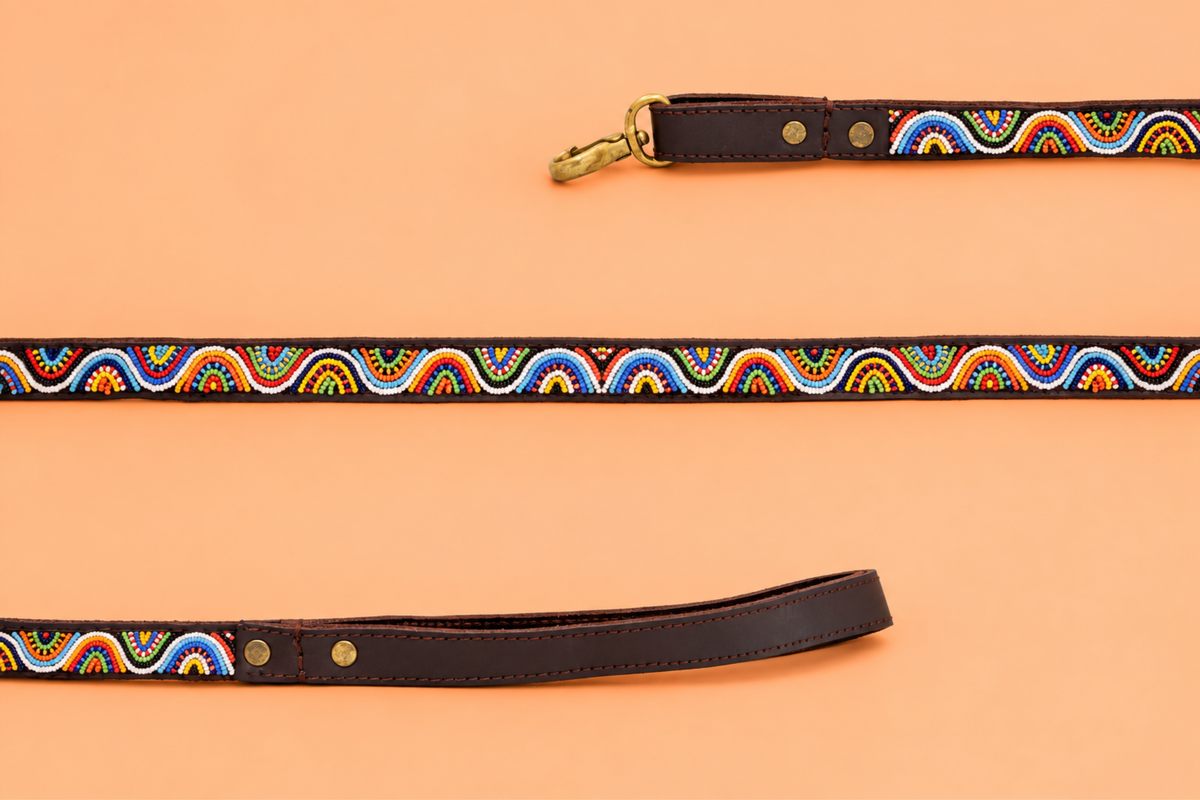 Beaded Leash | Rainbow Wave