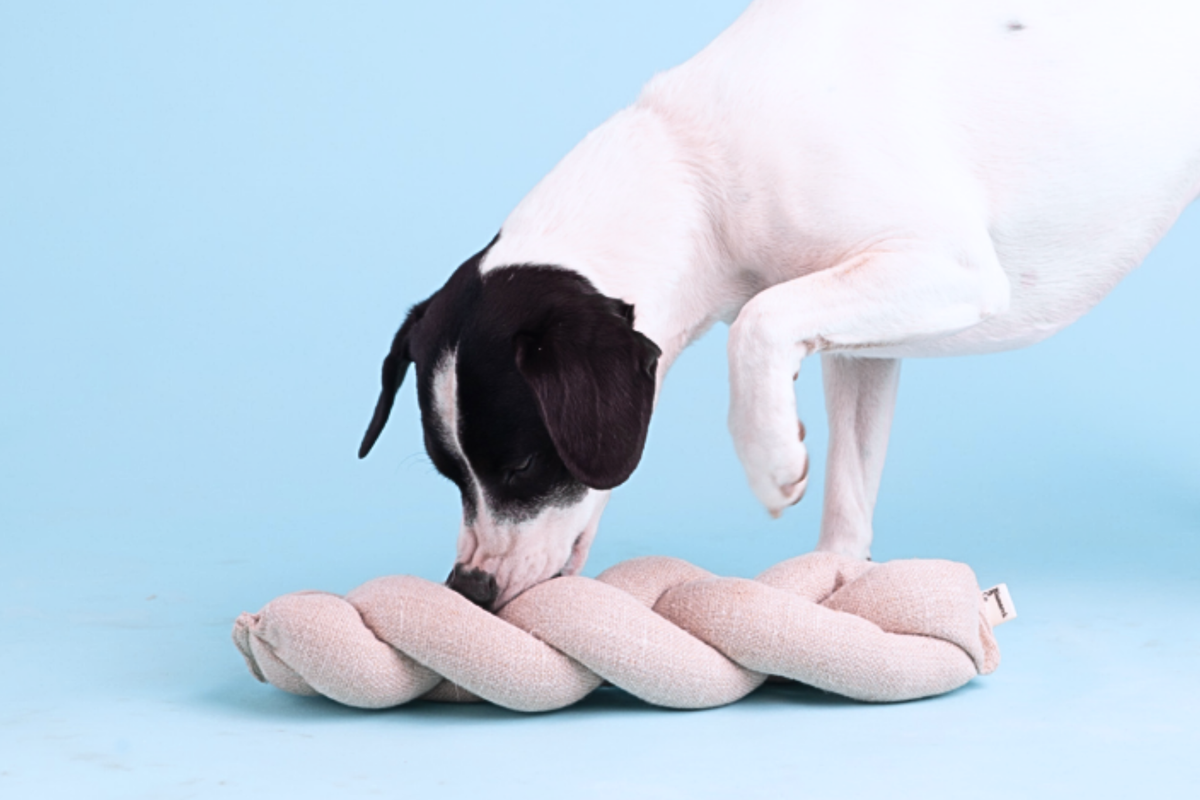 Snuffle Toy | Koeksister
